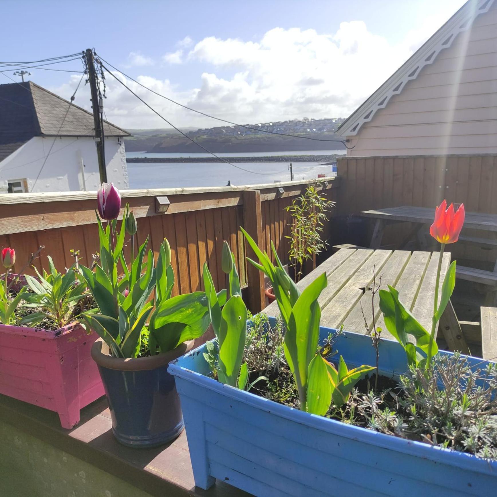 Rose And Crown Hotel & Hope And Anchor Bar Goodwick المظهر الخارجي الصورة
