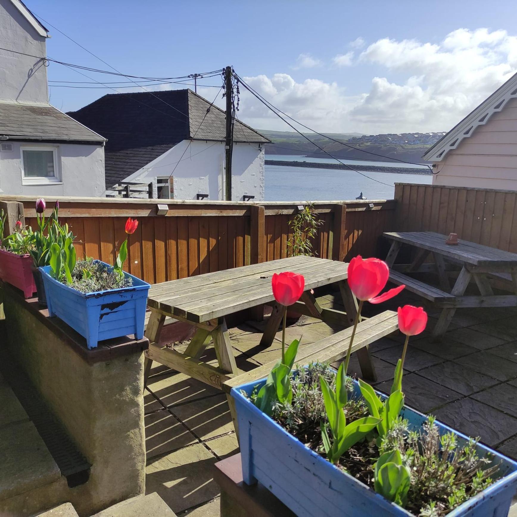 Rose And Crown Hotel & Hope And Anchor Bar Goodwick المظهر الخارجي الصورة