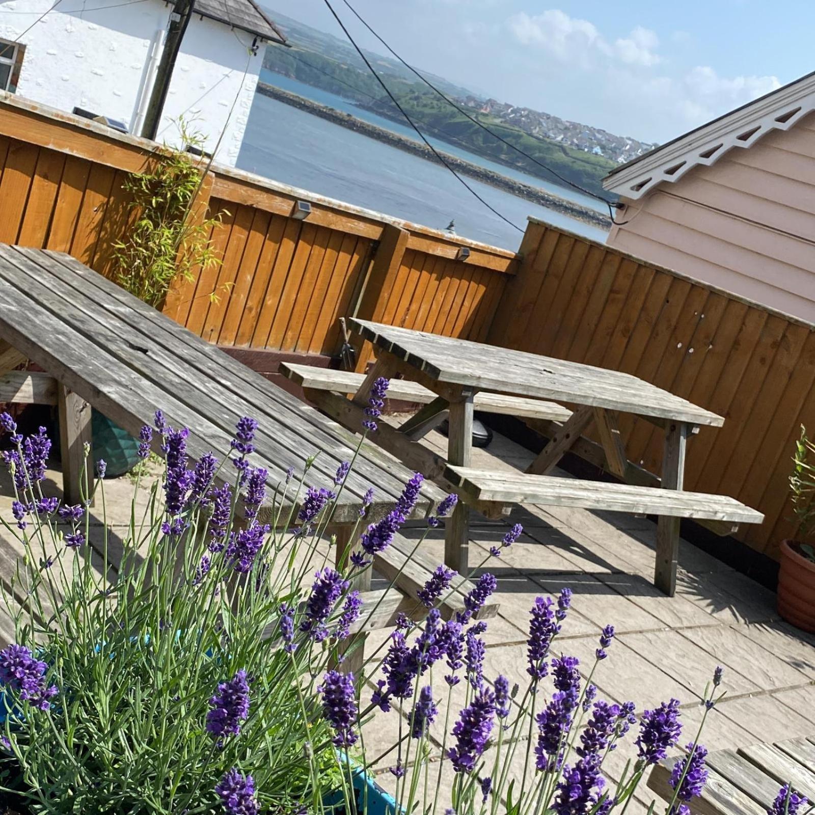 Rose And Crown Hotel & Hope And Anchor Bar Goodwick المظهر الخارجي الصورة